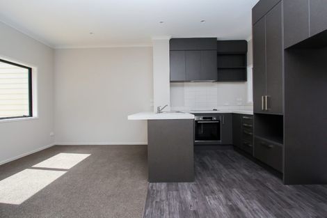 Photo of property in 20u2 Hunter Street, Hamilton Lake, Hamilton, 3204