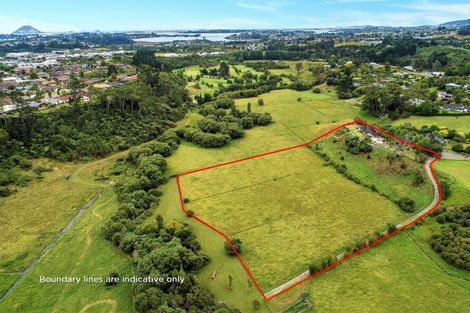Photo of property in 19r Waioroi Place, Oropi, Tauranga, 3173