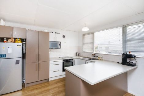 Photo of property in 151 Manchester Street, Feilding, 4702