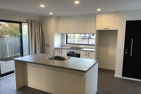 Photo of property in 49 Olliviers Road, Phillipstown, Christchurch, 8011