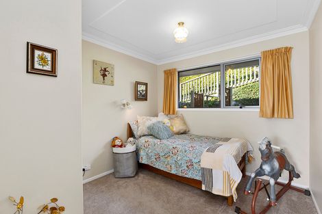 Photo of property in 215 Larnach Road, Waverley, Dunedin, 9013