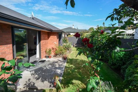 Photo of property in 40 Catherine Street, Windsor, Invercargill, 9810