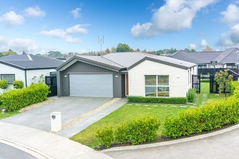 Photo of property in 47 Probert Crescent, Chartwell, Hamilton, 3210