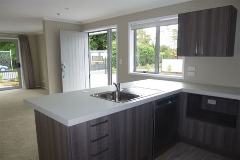 Photo of property in 3u5 Edgecumbe Street, Whitiora, Hamilton, 3200