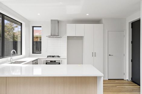 Photo of property in 4u1 Heath Street, Saint Andrews, Hamilton, 3200