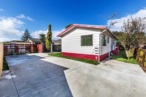Photo of property in 17 Ballance Avenue, Papatoetoe, Auckland, 2104