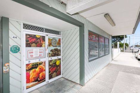 Photo of property in 1/44 Nelson Street, Petone, Lower Hutt, 5012