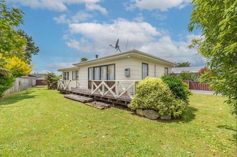 Photo of property in 3 Nikau Street, Levin, 5510