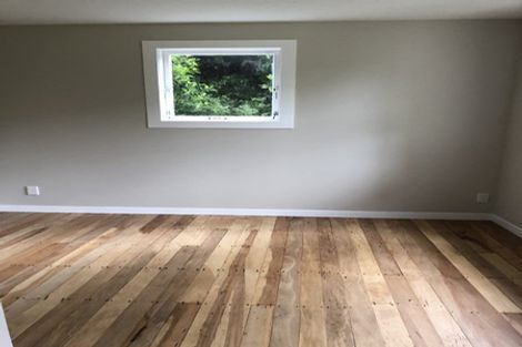 Photo of property in 38 Chaytor Street, Northland, Wellington, 6012