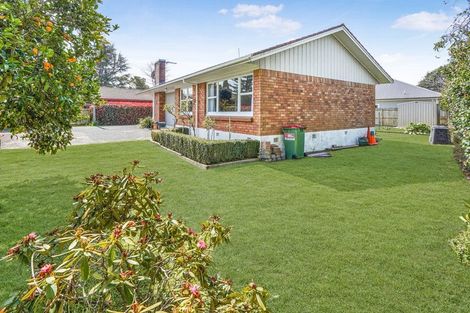 Photo of property in 12 Galloway Street, Hamilton East, Hamilton, 3216