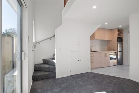Photo of property in 19 Winchester Street, Merivale, Christchurch, 8014
