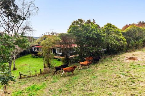 Photo of property in 1/24 Clothier Road, Karamu, Hamilton, 3285