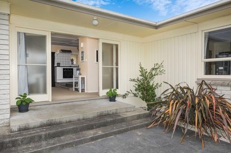 Photo of property in 48 Fitzroy Avenue, Fitzroy, Hamilton, 3206