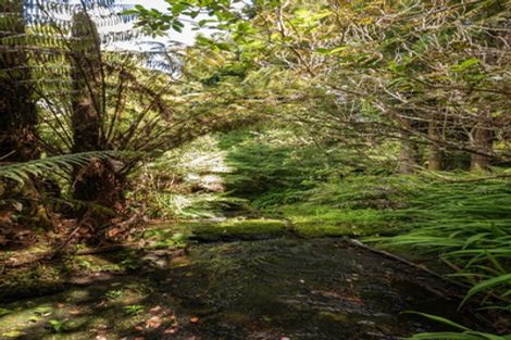 Photo of property in 60 Victoria Street, Waikino, Waihi, 3682