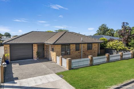 Photo of property in 33 Litchfield Street, Redwoodtown, Blenheim, 7201