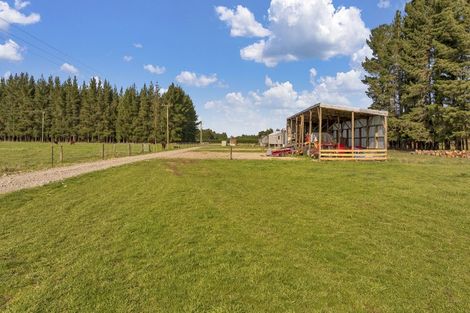 Photo of property in 185 Worlingham Road, Eyrewell, Rangiora, 7476