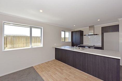 Photo of property in 47 Finn Avenue, Rolleston, 7615