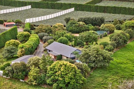 Photo of property in 26d Wainui Road South, Whakamarama, 3181