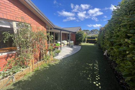 Photo of property in 19 Lindores Street, Addington, Christchurch, 8024