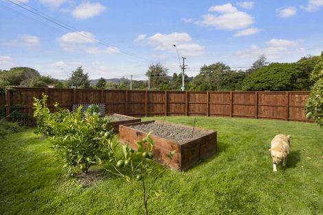 Photo of property in 144 Oxford Terrace, Epuni, Lower Hutt, 5011