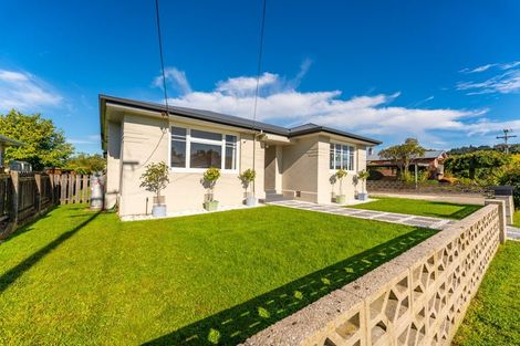 Photo of property in 32 Hislop Street, Geraldine, 7930