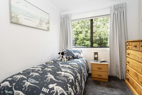 Photo of property in 215 Bay View Road, Saint Clair, Dunedin, 9012