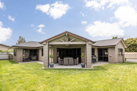 Photo of property in 323 Southland Place, Raureka, Hastings, 4120