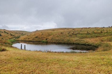 Photo of property in 836 Pungaere Road, Waipapa, Kerikeri, 0295