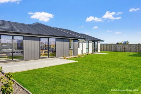Photo of property in 31 Whitehall Drive, Springlands, 7201