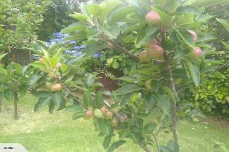 Photo of property in 77 Riverside Drive, Waiuku, 2123