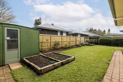 Photo of property in 36a Grey Street, Cambridge, 3434