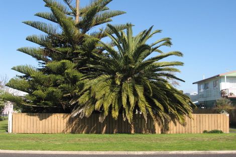 Photo of property in 184 Cook Drive, Whitianga, 3510