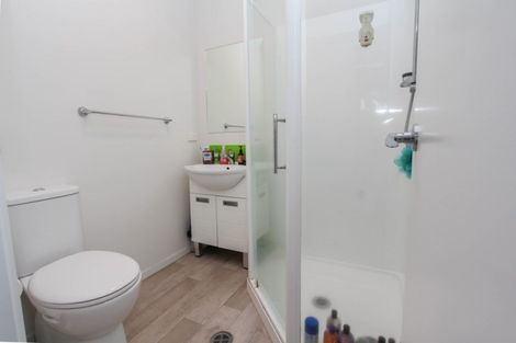 Photo of property in 28u4 Hunter Street, Hamilton Lake, Hamilton, 3204