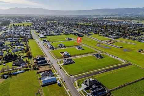 Photo of property in 16 Buxton Crescent, Matamata, 3400