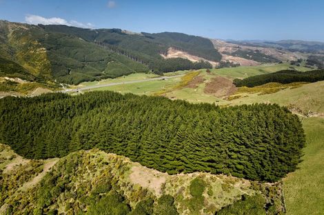 Photo of property in 850a Paekakariki Hill Road, Paekakariki Hill, Porirua, 5381