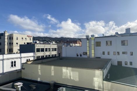 Photo of property in Dual Apartments, 411/142u Vivian Street, Te Aro, Wellington, 6011