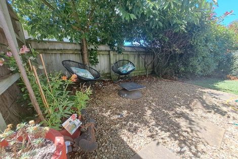 Photo of property in 509 Frederick Street, Mahora, Hastings, 4120