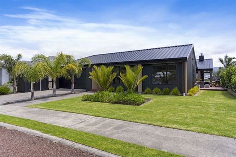 Photo of property in 109 Motu Iti, Pauanui, Hikuai, 3579