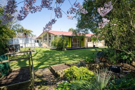 Photo of property in 5 Blairgowrie Place, Leamington, Cambridge, 3432