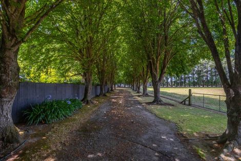 Photo of property in 448 Tancreds Road, Lincoln, Christchurch, 7672