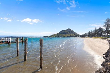 Photo of property in 22a Miro Street, Mount Maunganui, 3116