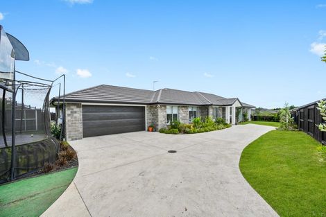 Photo of property in 18 Drower Glen, Flagstaff, Hamilton, 3210