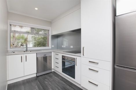 Photo of property in 16u7 Hammond Street, Hamilton Central, Hamilton, 3204