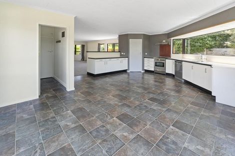 Photo of property in 14 Chisnall Street, Richmond, 7020