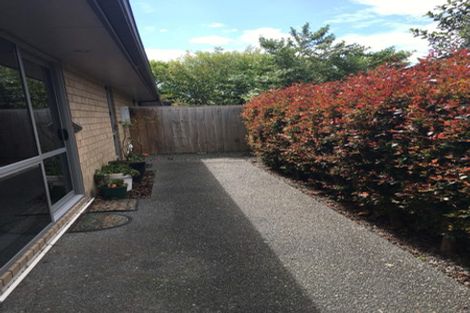 Photo of property in 34u6 Fifth Avenue, Enderley, Hamilton, 3214