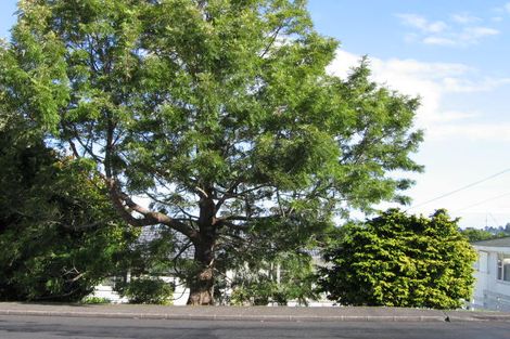 Photo of property in 96 Golf Road, New Lynn, Auckland, 0600