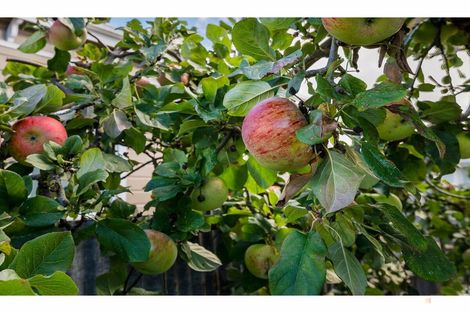 Photo of property in 17 Manse Street, Waimate, 7924