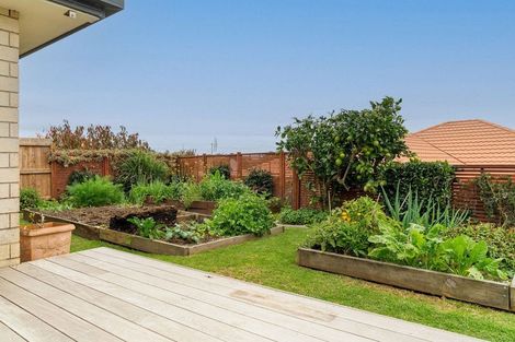 Photo of property in 8 Apex Way, Ohauiti, Tauranga, 3112