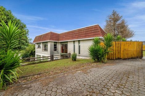 Photo of property in 19 Tybalt Street, Stratford, 4332