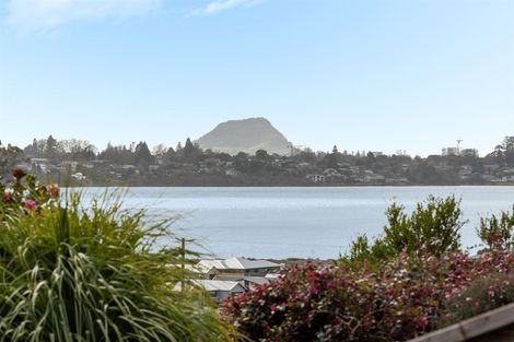 Photo of property in 99 Sapphire Drive, Hairini, Tauranga, 3112